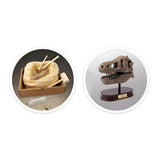 Buki Museum Skull T-rex 8A+