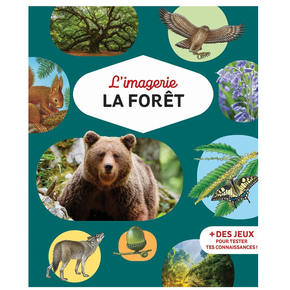 L’IMAGERIE -  L’imagerie de la forêt