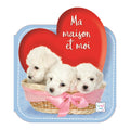 My Home and Me - Dogs
