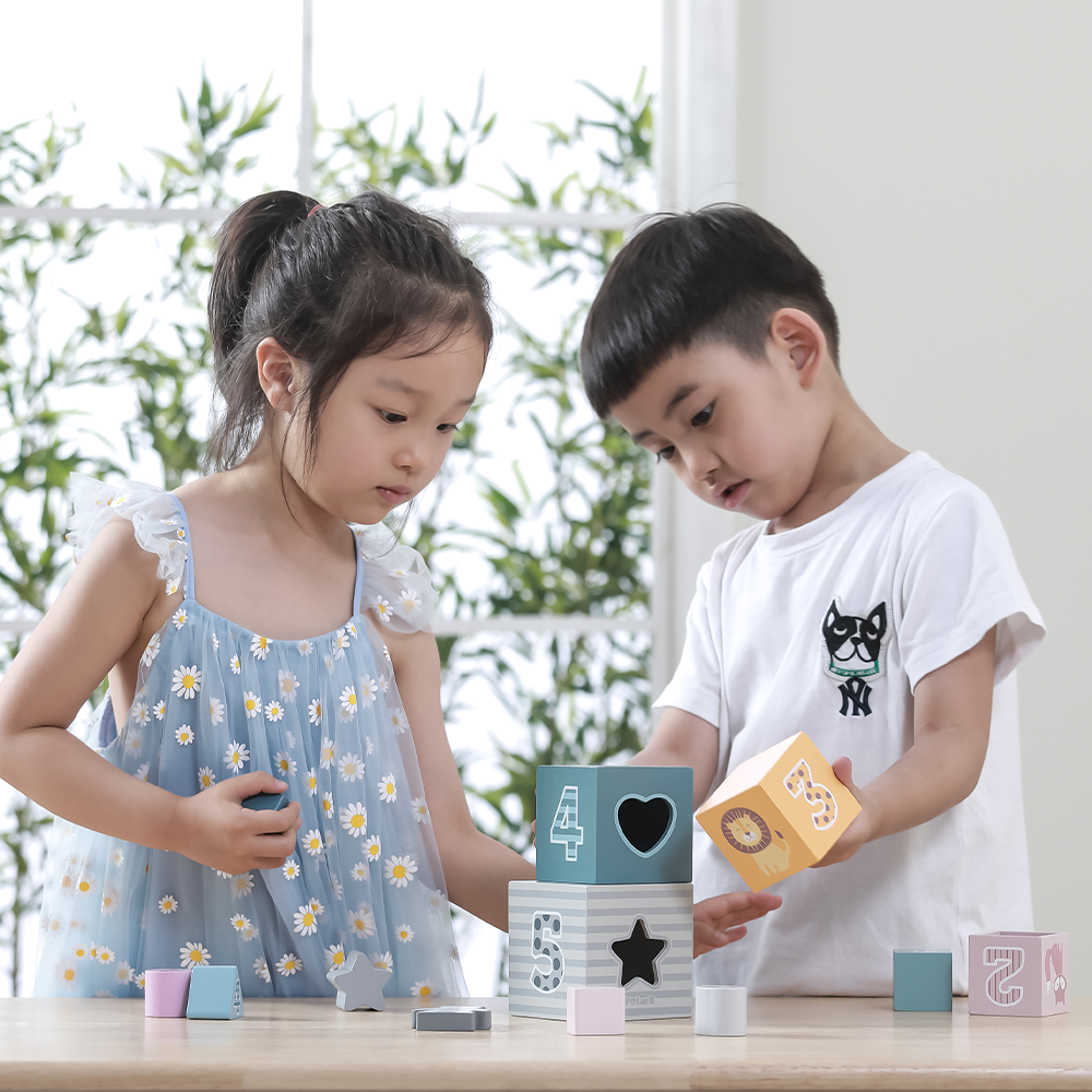Viga Toys PolarB Blocs Emboîtables et Empilables 12M+