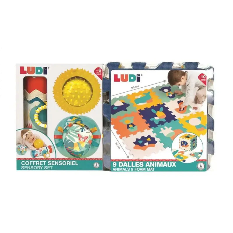 Ludi Coffret Sensoriel - Tapis Dalles Animaux avec Rouleau & Balles