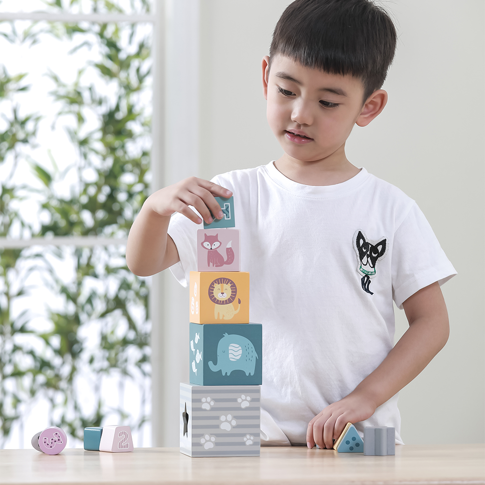 Viga Toys PolarB Blocs Emboîtables et Empilables 12M+