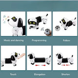 Chien Robot Télécommandé Programmable – 3A+