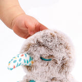 Ludi Peluche Kiwi Calin Miroir 6M+