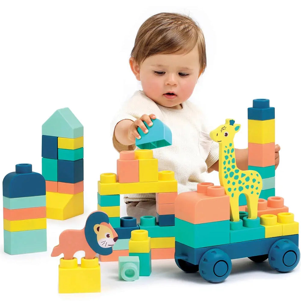 Ludi Mes Premières Constructions BRIQUI 12M+