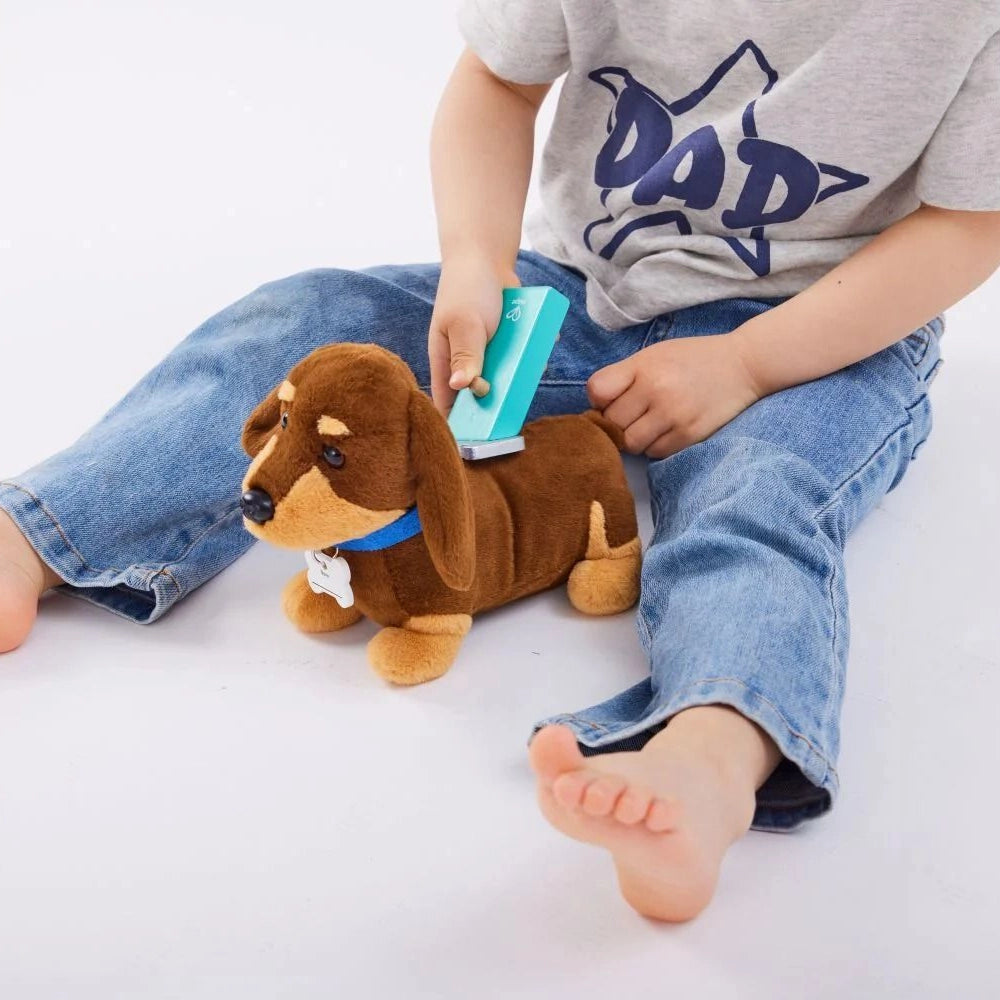 Hape Clinique Vétérinaire Soins Chiot 3-8A