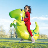 DO YOU PLAY Animal Sauteur Gonflable Dinosaure 5A+