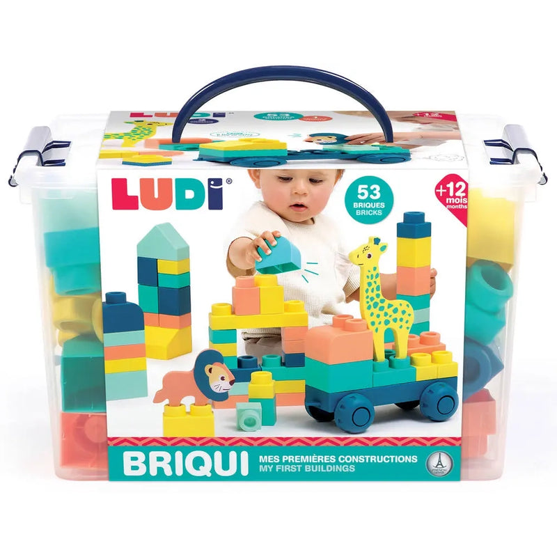 Ludi Mes Premières Constructions BRIQUI 12M+
