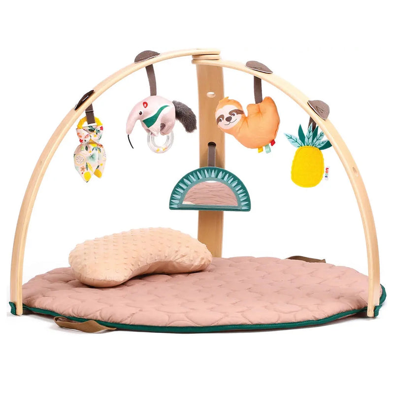 Ludi Tapis Arche en Bois 0M+