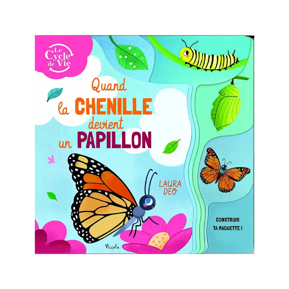 Papillons – Quand la Chenille Devient Papillon