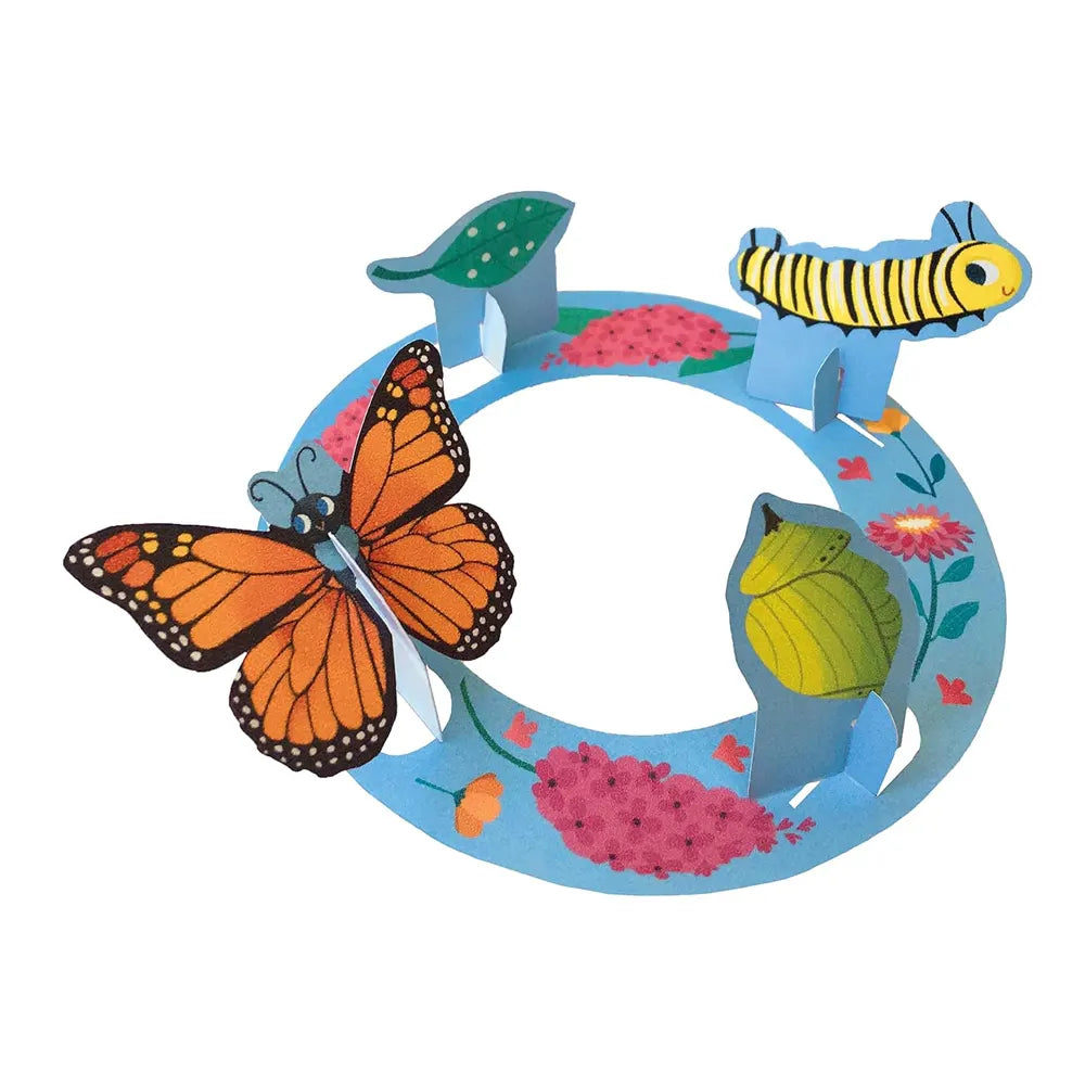Papillons – Quand la Chenille Devient Papillon