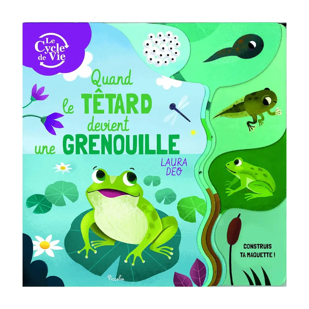 Quand le Têtard Devient une Grenouille