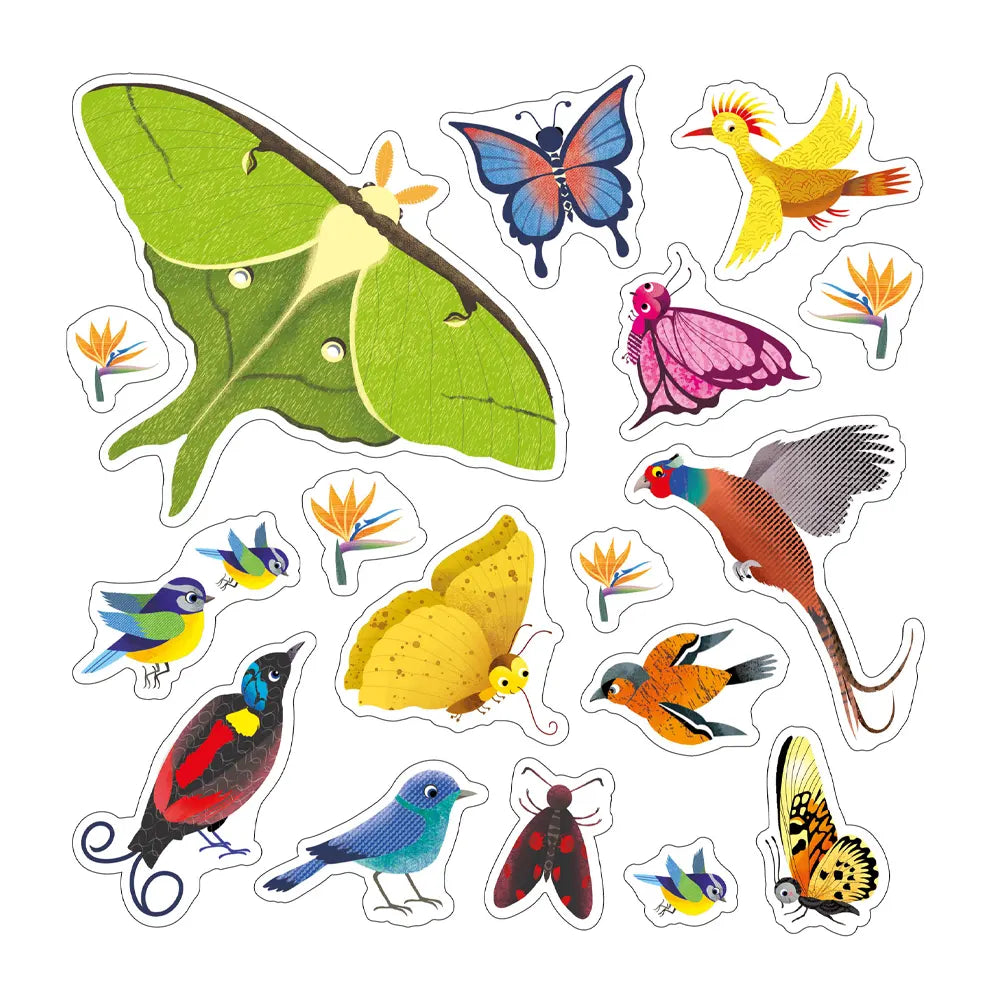Pájaros y Mariposas – Decoración para ventanas