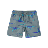 Short de bain à imprimé dinosaure pour garçon