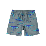 Short de bain à imprimé dinosaure pour garçon