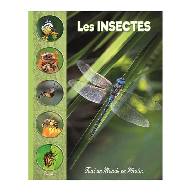Les Insectes – Tout un Monde en Photos