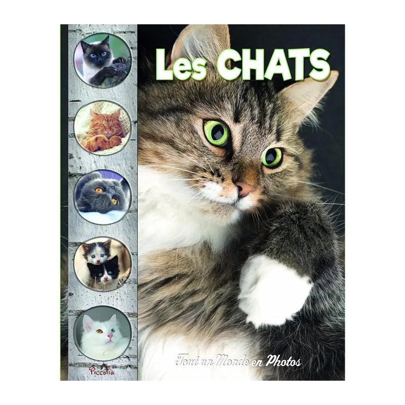 Les Chats – Tout un Monde en Photos