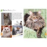 Les Chats – Tout un Monde en Photos