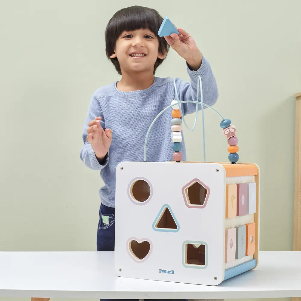Viga Toys PolarB Cube Multiactivité 8 en 1 18M+