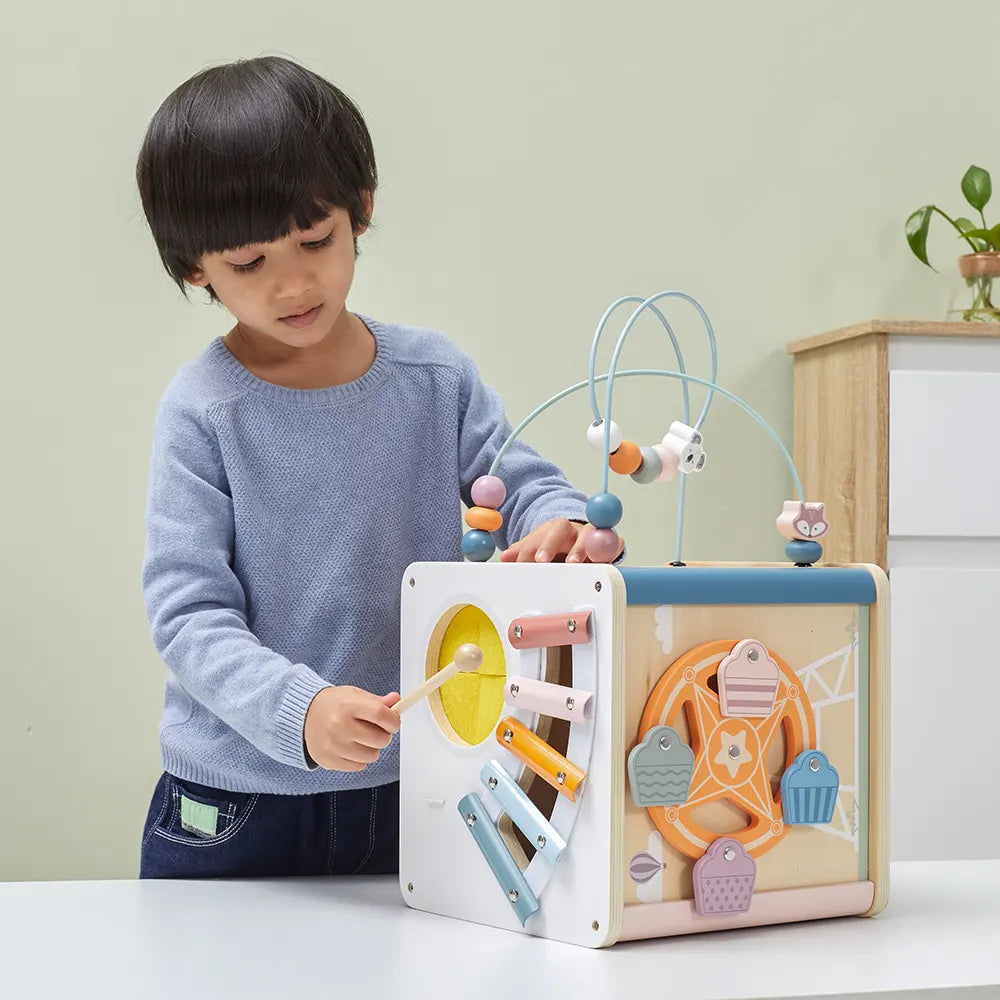 Viga Toys PolarB Cube Multiactivité 8 en 1 18M+