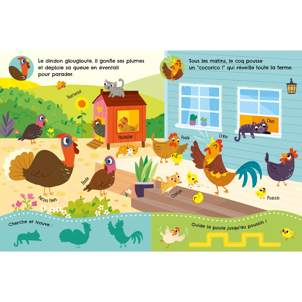 Escuchar Descubrir y Observar – La Granja