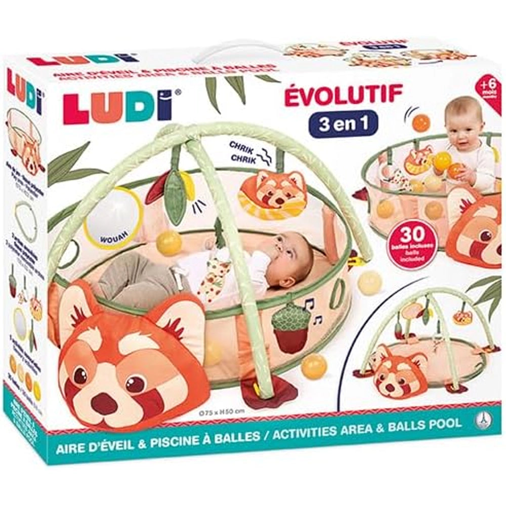 Ludi Aire d’Éveil et Piscine à Balles Panda 6M+