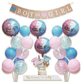Kit de Décoration Gender Reveal Boy or Girl - Rose & Bleu