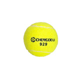 Lot de 12 Balles de Tennis