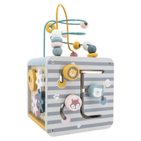 Viga Toys PolarB Cube Multiactivités 5en1 24M+