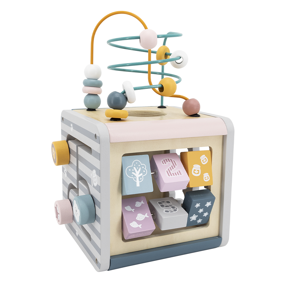 Viga Toys PolarB Cube Multiactivités 5en1 24M+