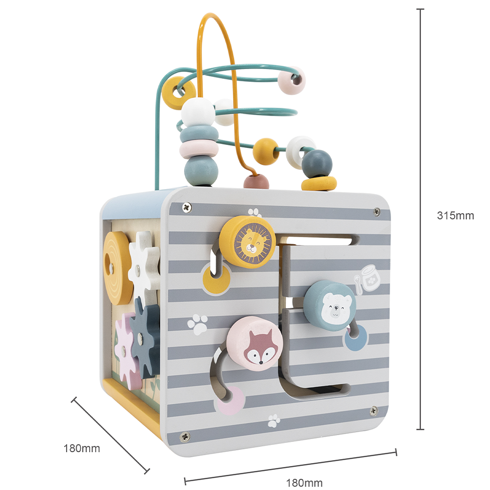 Viga Toys PolarB Cube Multiactivités 5en1 24M+