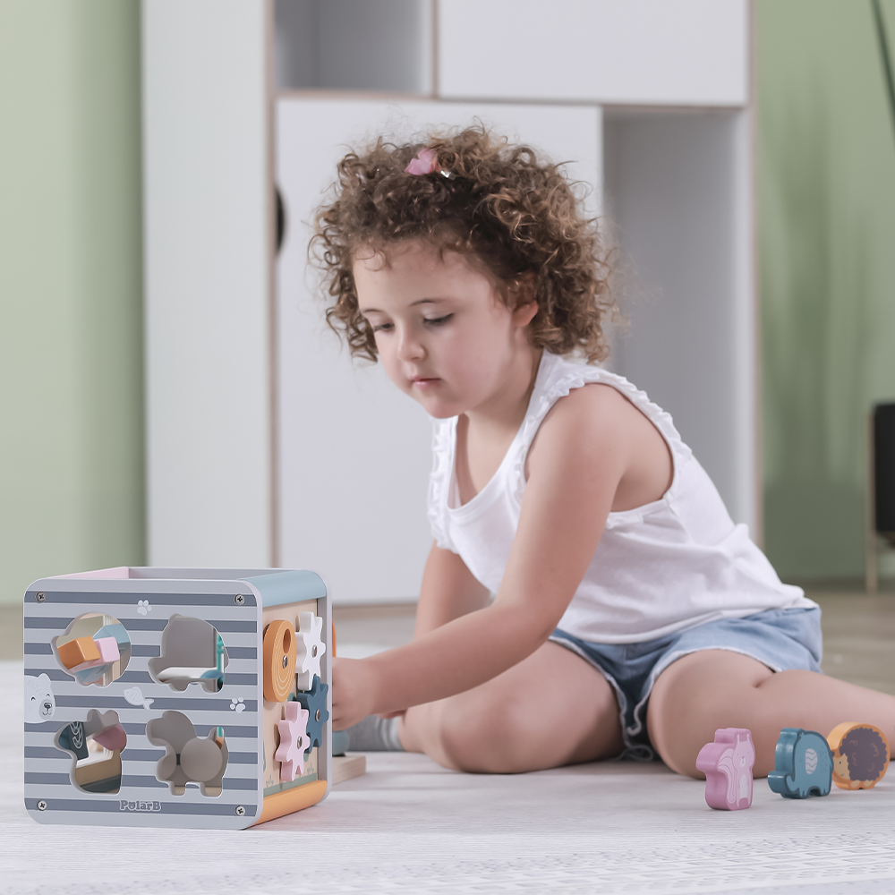 Viga Toys PolarB Cube Multiactivités 5en1 24M+