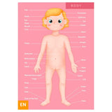Eurekakids Puzzle Educativo 100 piezas El Cuerpo Humano - 6A+