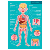 Eurekakids Puzzle Educativo 100 piezas El Cuerpo Humano - 6A+