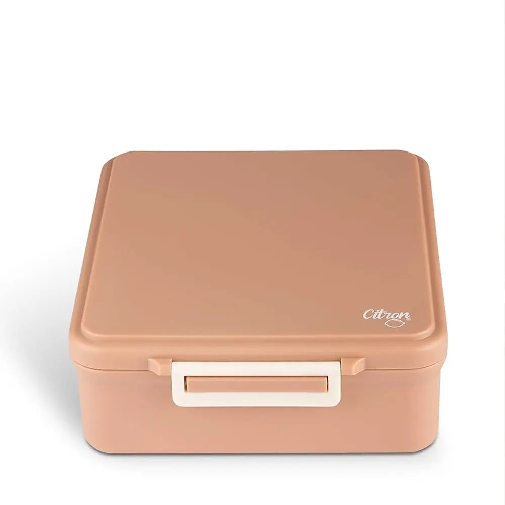 Citron Large Lunchbox with Insulated Food Jar - Blush Pink
