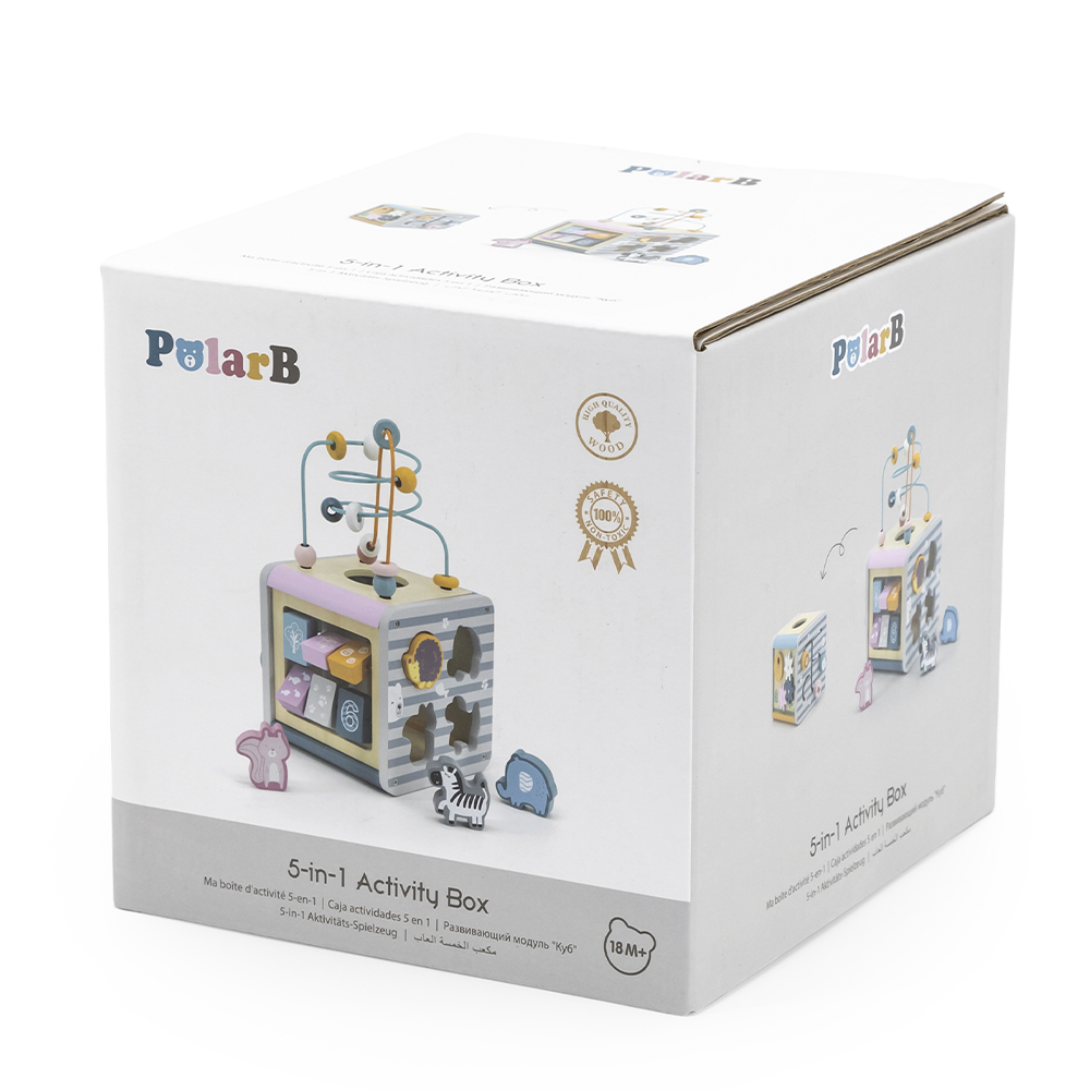 Viga Toys PolarB Cube Multiactivités 5en1 24M+