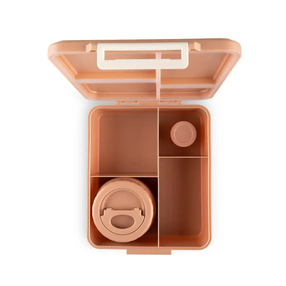 Citron Large Lunchbox with Insulated Food Jar - Blush Pink