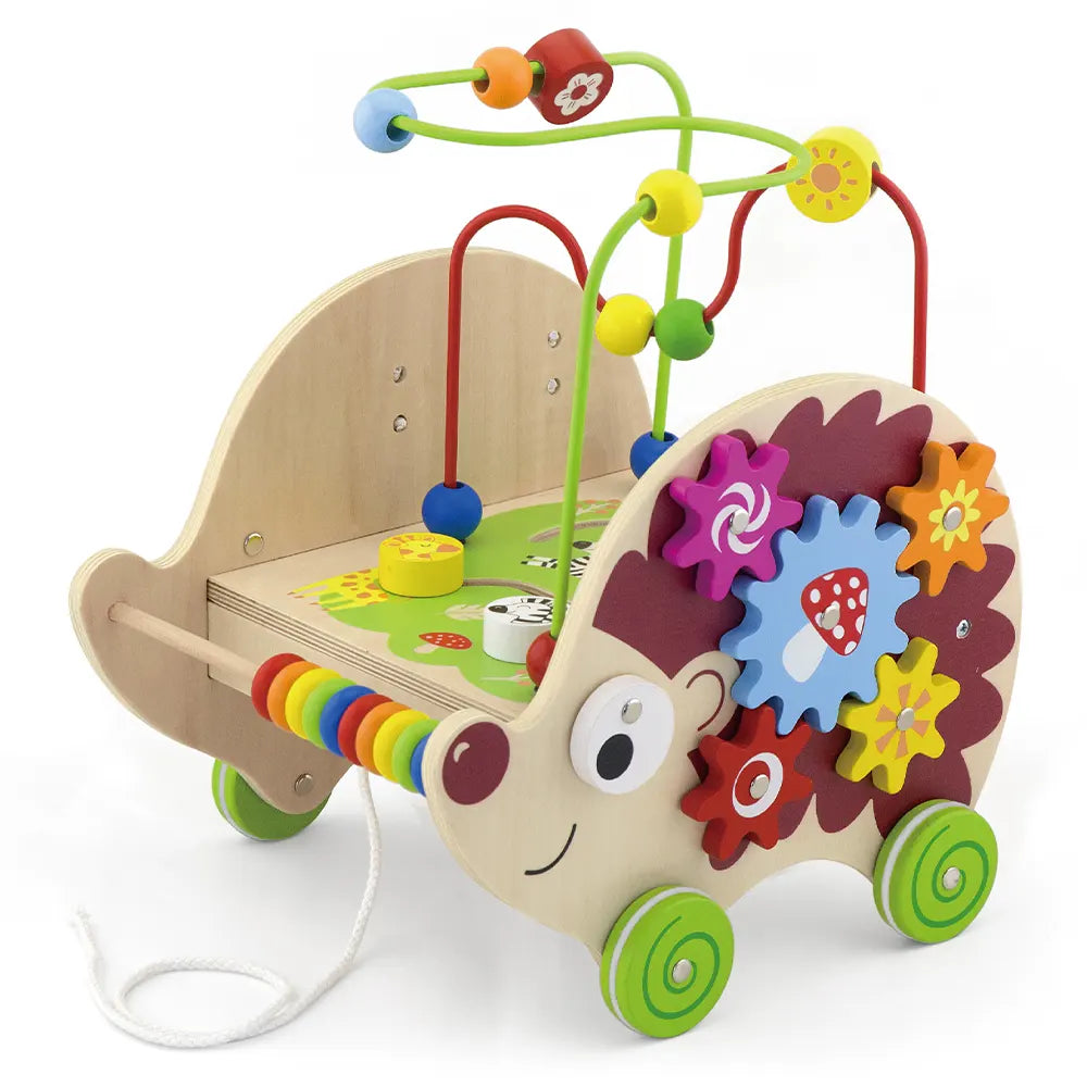 Viga Toys Hérisson D'activité à Tirer 4 En 1 12M+