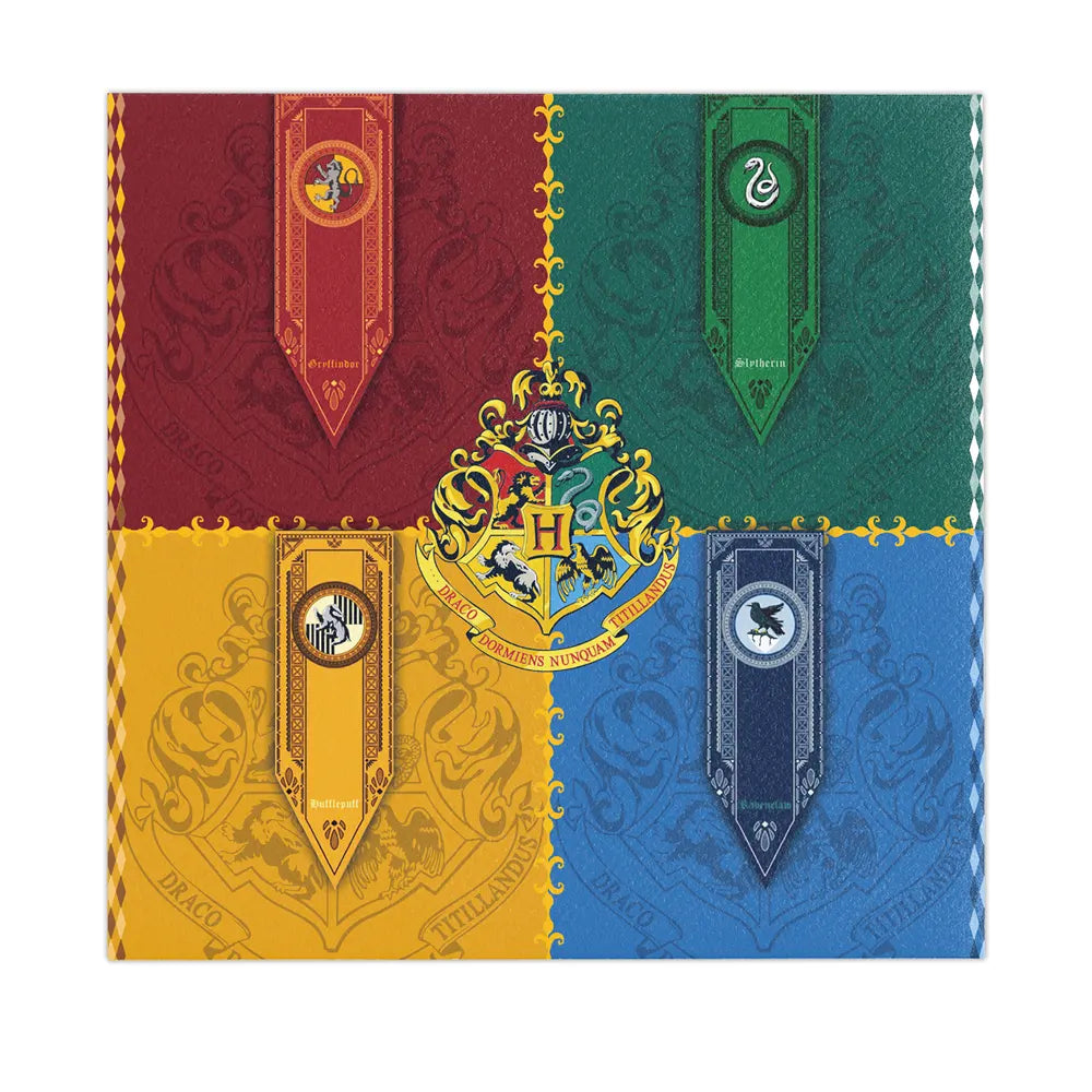 Pack de Cumpleaños 51 Piezas - Harry Potter