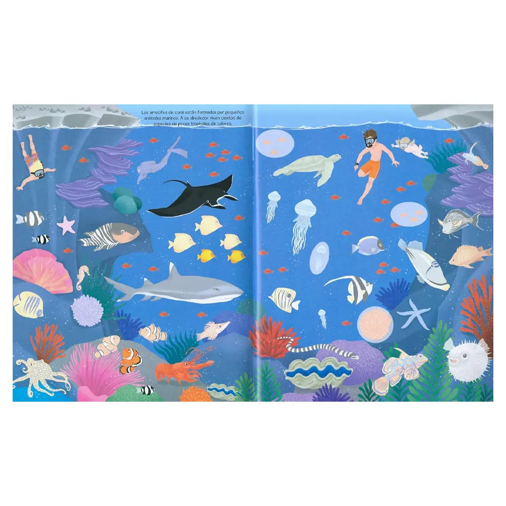 Piccolia 400 Autocollants La Mer - 5A+
