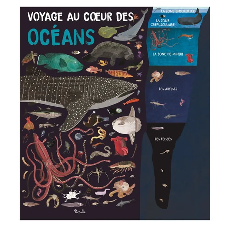 Piccolia Voyage au Cœur des Océans