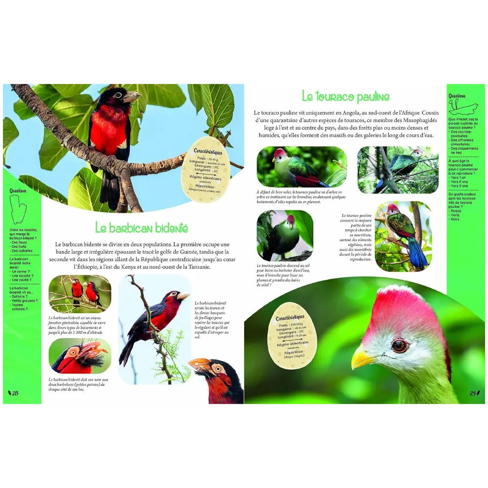 Piccolia Livre Mon Grand Animalier des Oiseaux 