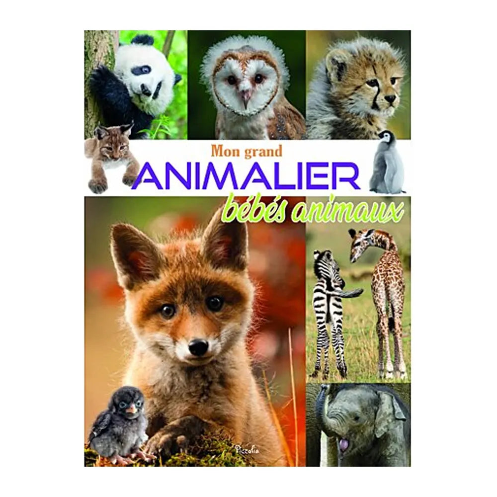 Piccolia Livre Mon Grand Animalier Bébés Animaux 