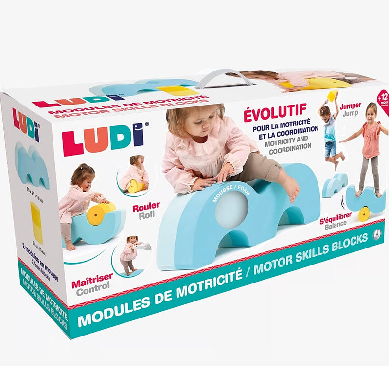 Ludi Módulos de Motricidad 12M+