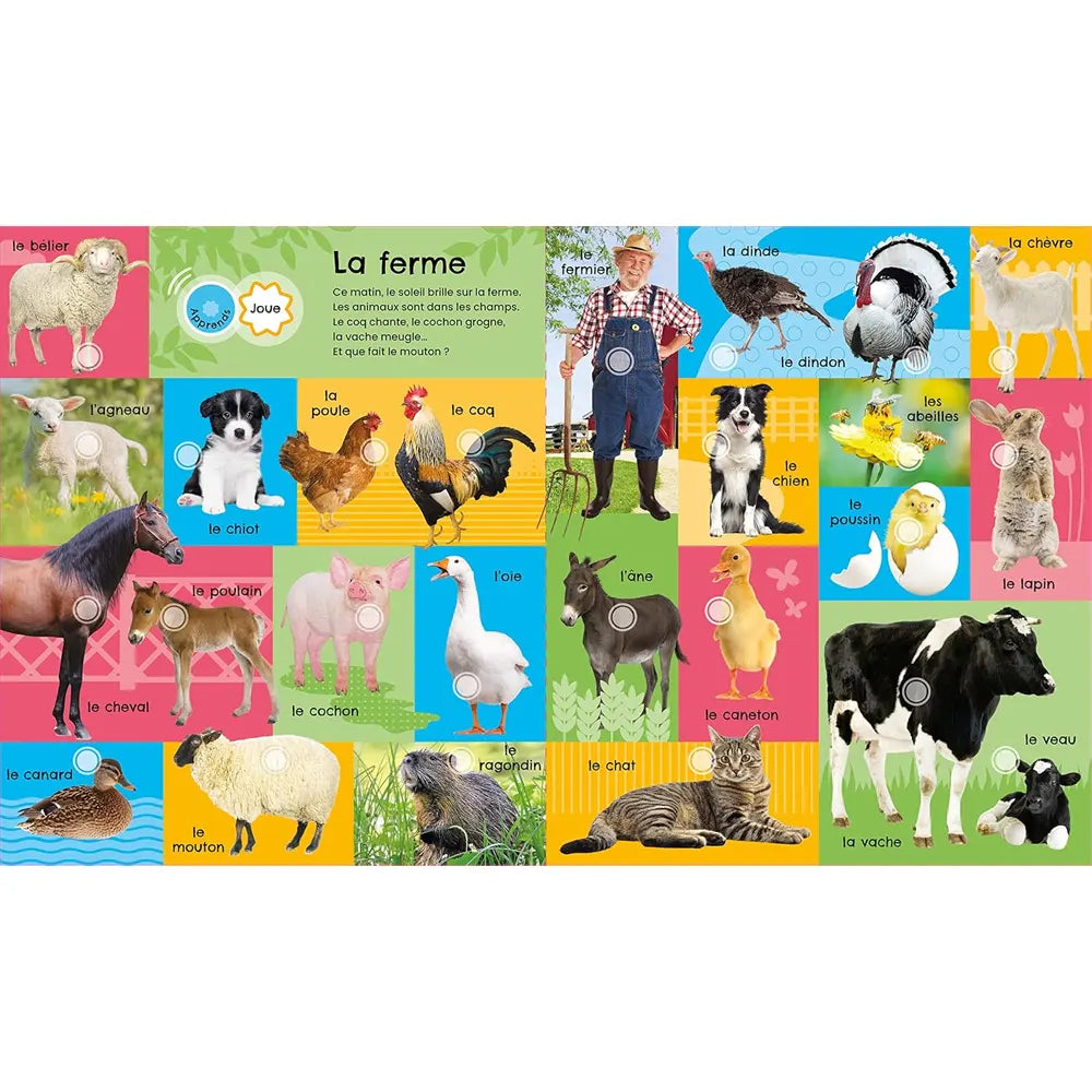 MON SUPER LIVRE SONORE - 175 SONS ANIMAUX