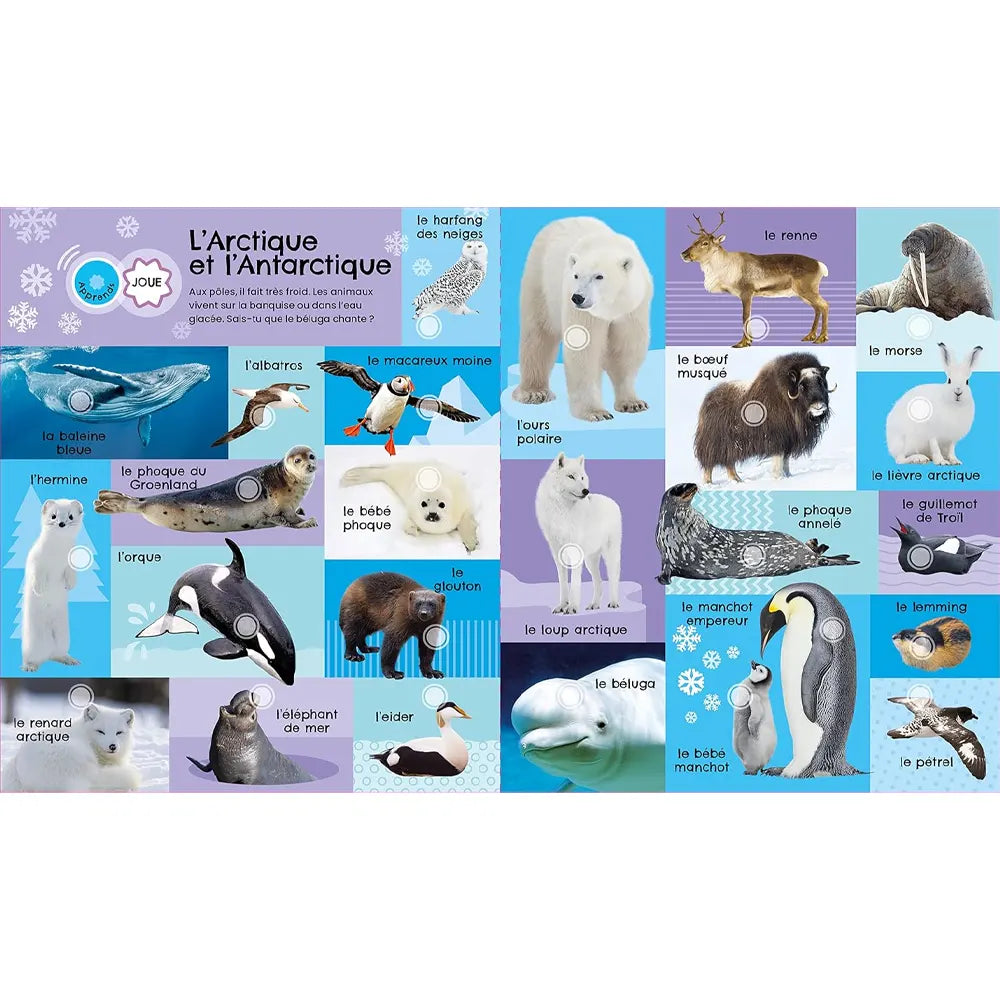 MON SUPER LIVRE SONORE - 175 SONS ANIMAUX