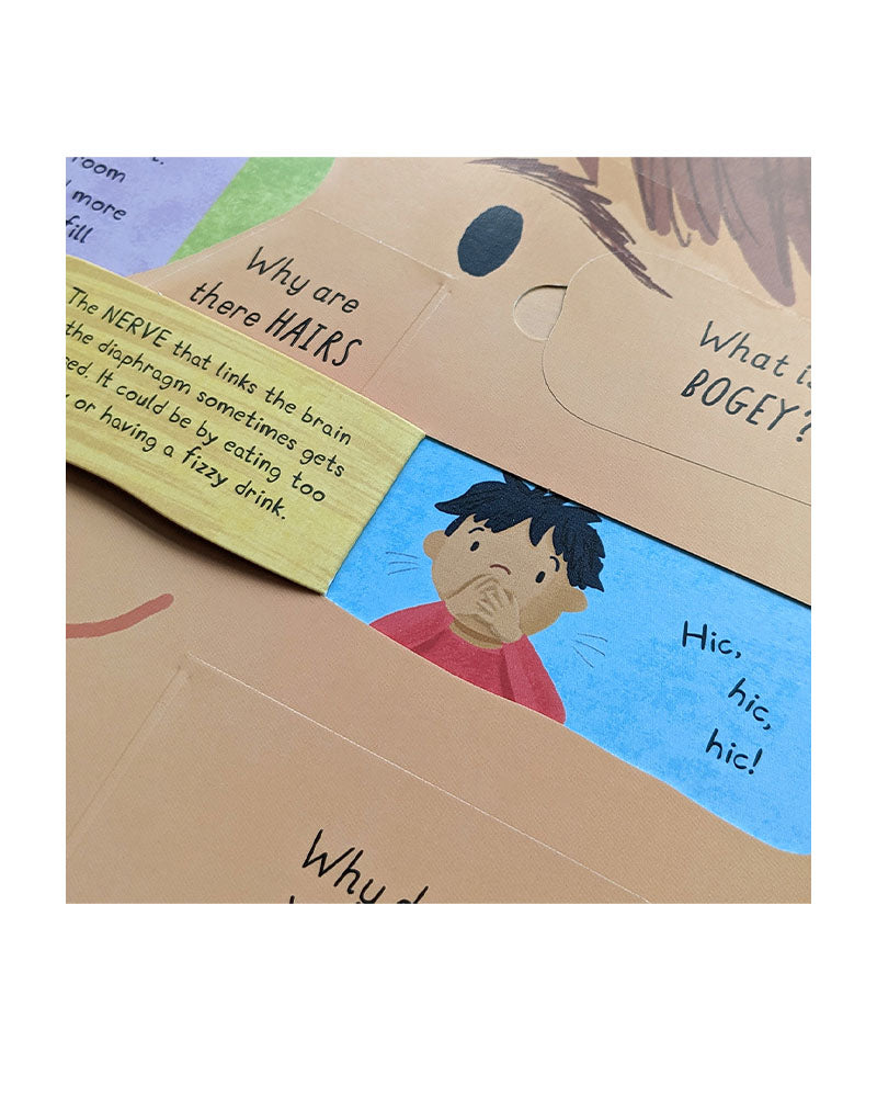 Large Question-And-Answer Flap Book - Human Body