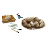 Buki Pack Dino Oeuf Maxi 6A+