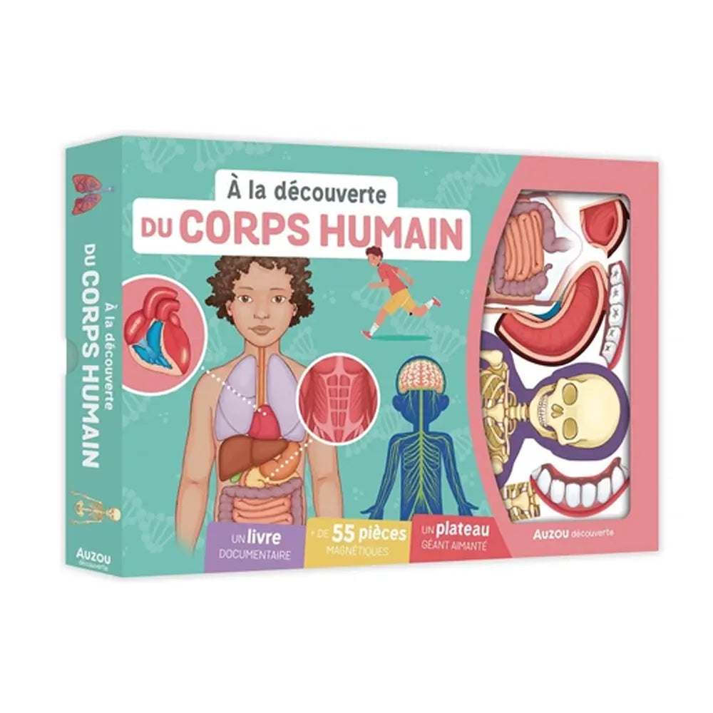 Auzou À la Découverte du Corps Humain - Coffret Interactif