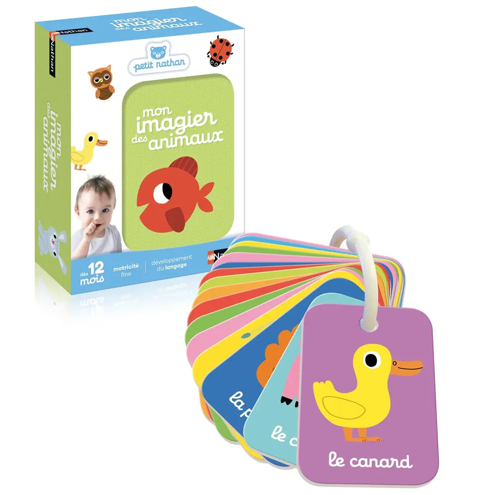 Mon Imagier des Animaux – 12 M+